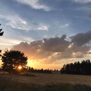 Meet your Posher, William